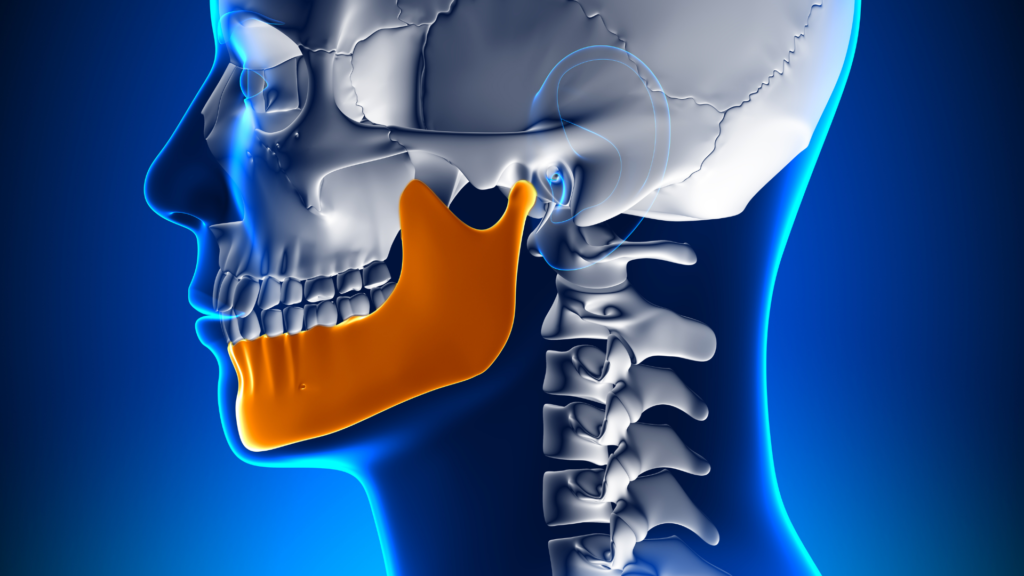 Articulación temporomandibular o atm