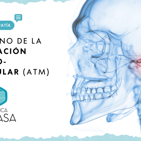 Qué es la Articulación Temporomandibular o ATM